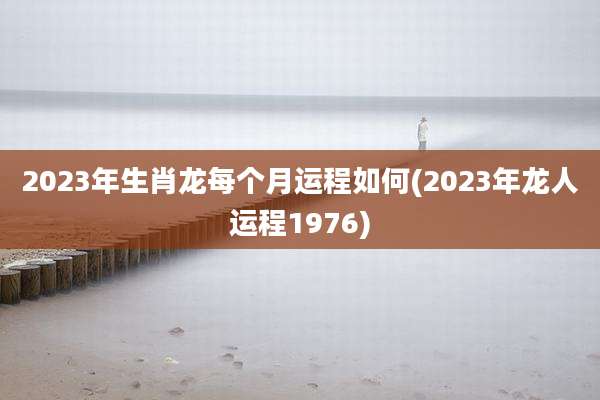 2023年生肖龙每个月运程如何(2023年龙人运程1976)