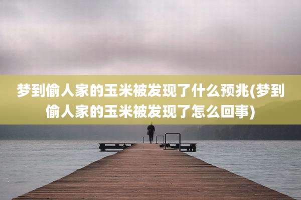 梦到偷人家的玉米被发现了什么预兆(梦到偷人家的玉米被发现了怎么回事)