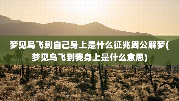 梦见鸟飞到自己身上是什么征兆周公解梦(梦见鸟飞到我身上是什么意思)