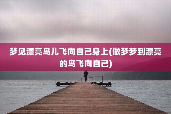 梦见漂亮鸟儿飞向自己身上(做梦梦到漂亮的鸟飞向自己)