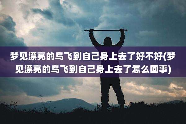 梦见漂亮的鸟飞到自己身上去了好不好(梦见漂亮的鸟飞到自己身上去了怎么回事)