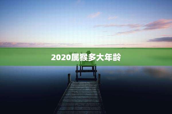 2020属猴多大年龄
