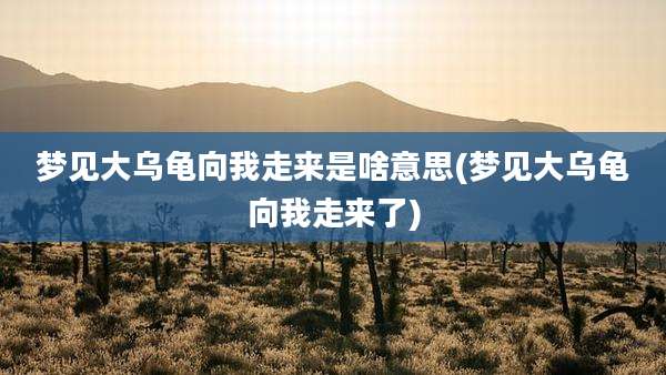 梦见大乌龟向我走来是啥意思(梦见大乌龟向我走来了)