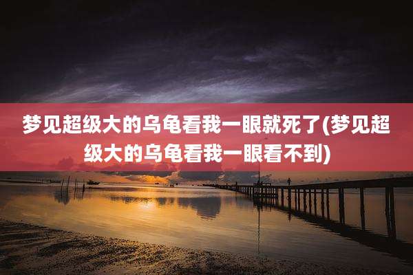 梦见超级大的乌龟看我一眼就死了(梦见超级大的乌龟看我一眼看不到)