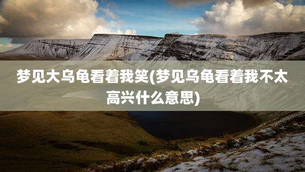 梦见大乌龟看着我笑(梦见乌龟看着我不太高兴什么意思)