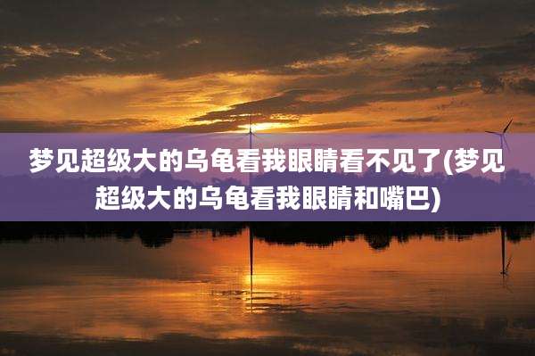 梦见超级大的乌龟看我眼睛看不见了(梦见超级大的乌龟看我眼睛和嘴巴)