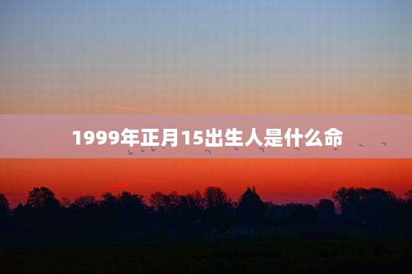 1999年正月15出生人是什么命