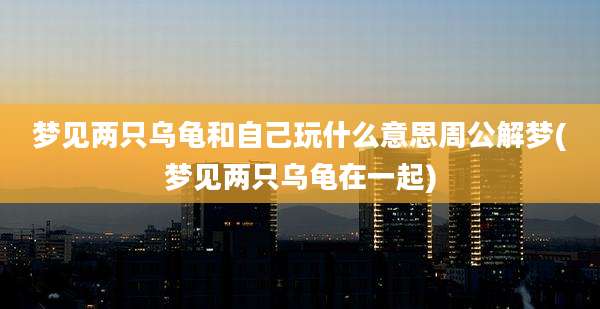 梦见两只乌龟和自己玩什么意思周公解梦(梦见两只乌龟在一起)