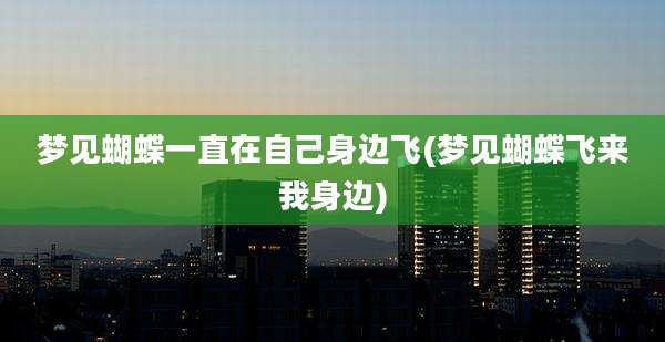 梦见蝴蝶一直在自己身边飞(梦见蝴蝶飞来我身边)