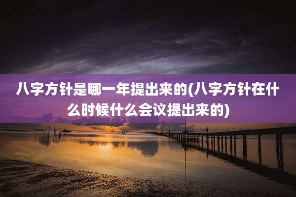 八字方针是哪一年提出来的(八字方针在什么时候什么会议提出来的)
