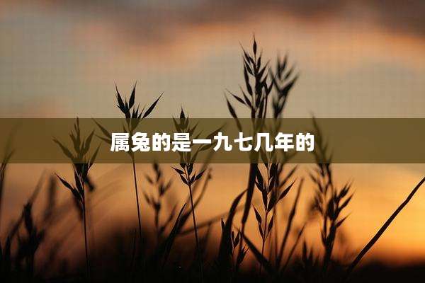 属兔的是一九七几年的