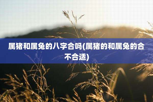 属猪和属兔的八字合吗(属猪的和属兔的合不合适)