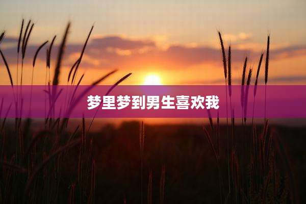 梦里梦到男生喜欢我