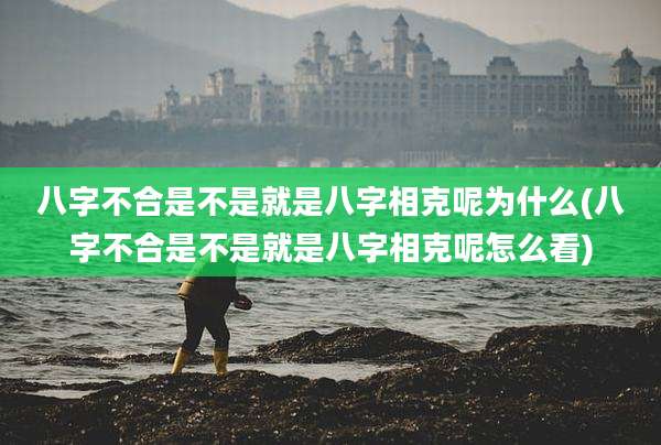八字不合是不是就是八字相克呢为什么(八字不合是不是就是八字相克呢怎么看)