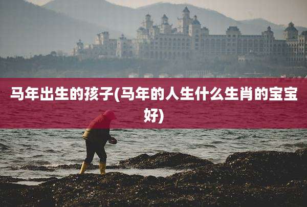 马年出生的孩子(马年的人生什么生肖的宝宝好)