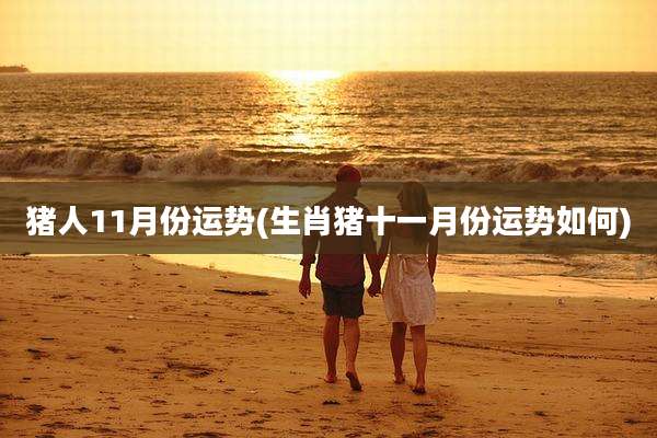 猪人11月份运势(生肖猪十一月份运势如何)