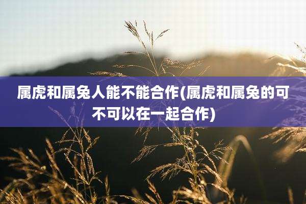 属虎和属兔人能不能合作(属虎和属兔的可不可以在一起合作)