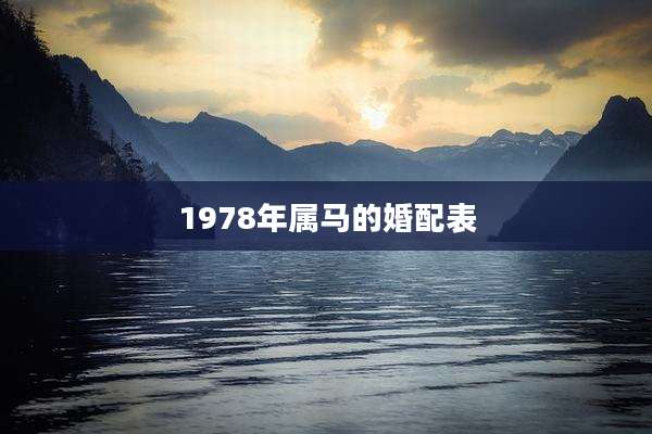 1978年属马的婚配表