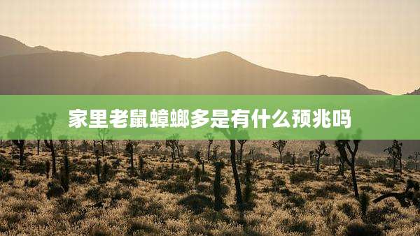 家里老鼠蟑螂多是有什么预兆吗