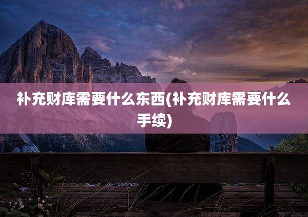 补充财库需要什么东西(补充财库需要什么手续)