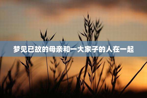 梦见已故的母亲和一大家子的人在一起