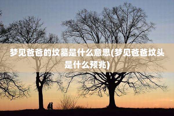 梦见爸爸的坟墓是什么意思(梦见爸爸坟头是什么预兆)