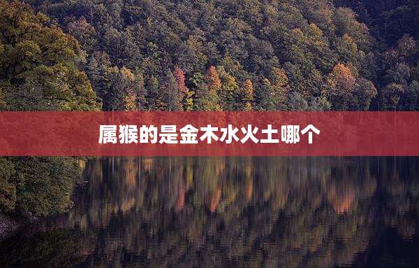 属猴的是金木水火土哪个