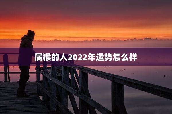属猴的人2022年运势怎么样