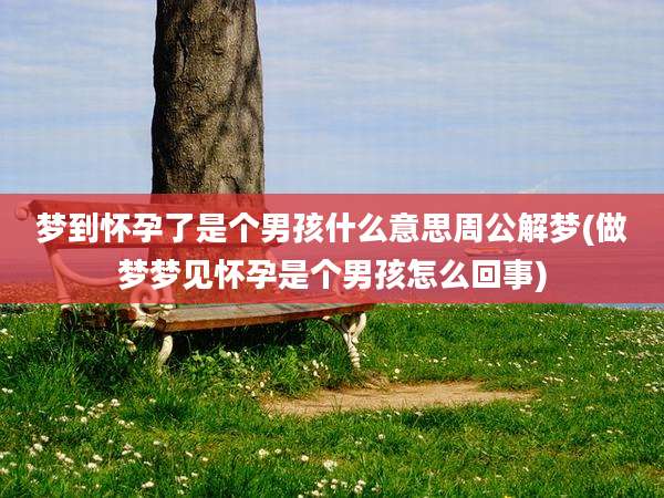 梦到怀孕了是个男孩什么意思周公解梦(做梦梦见怀孕是个男孩怎么回事)