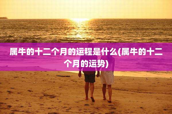 属牛的十二个月的运程是什么(属牛的十二个月的运势)