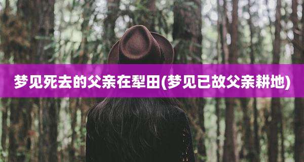 梦见死去的父亲在犁田(梦见已故父亲耕地)
