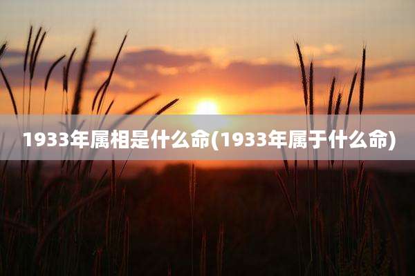 1933年属相是什么命(1933年属于什么命)