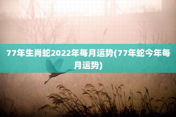 77年生肖蛇2022年每月运势(77年蛇今年每月运势)