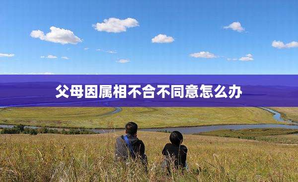 父母因属相不合不同意怎么办