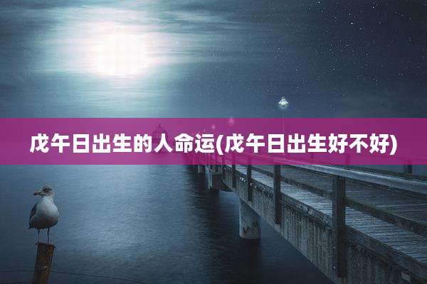 戊午日出生的人命运(戊午日出生好不好)