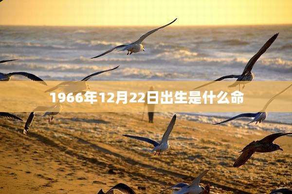 1966年12月22日出生是什么命