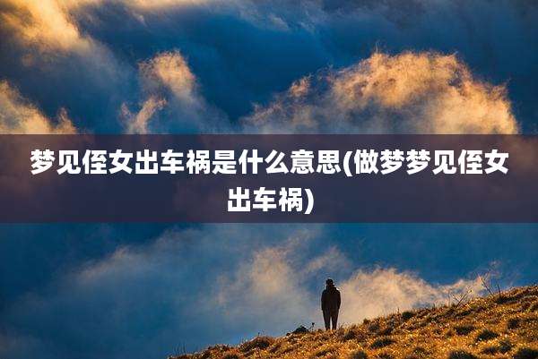 梦见侄女出车祸是什么意思(做梦梦见侄女出车祸)