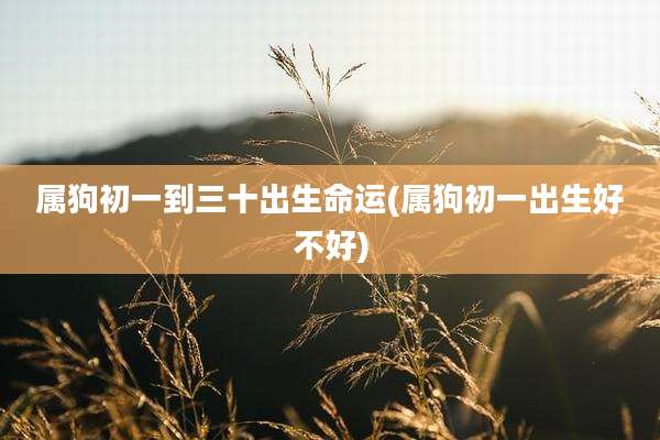 属狗初一到三十出生命运(属狗初一出生好不好)