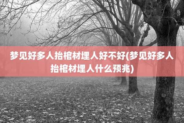 梦见好多人抬棺材埋人好不好(梦见好多人抬棺材埋人什么预兆)