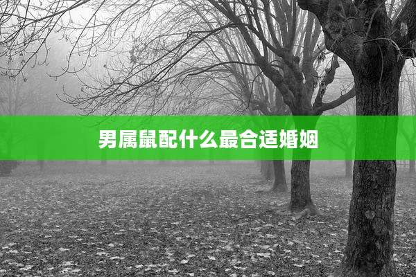 男属鼠配什么最合适婚姻
