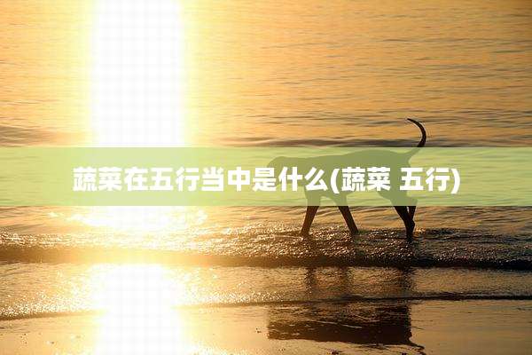 蔬菜在五行当中是什么(蔬菜 五行)