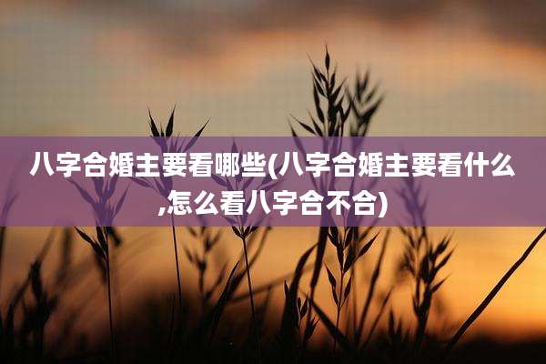 八字合婚主要看哪些(八字合婚主要看什么,怎么看八字合不合)