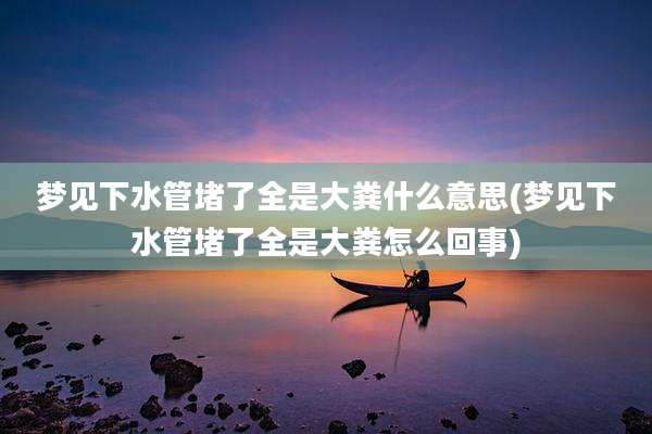 梦见下水管堵了全是大粪什么意思(梦见下水管堵了全是大粪怎么回事)