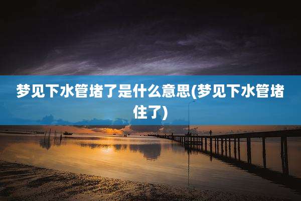 梦见下水管堵了是什么意思(梦见下水管堵住了)
