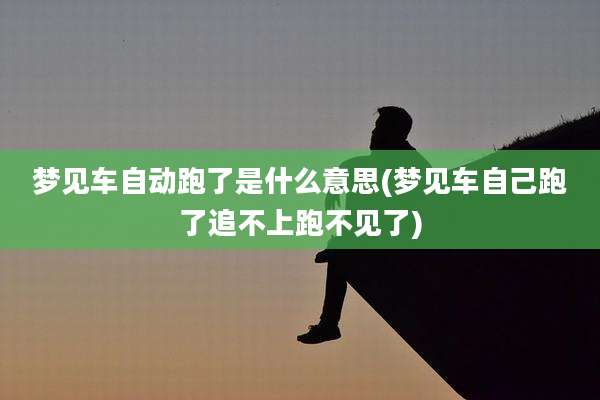 梦见车自动跑了是什么意思(梦见车自己跑了追不上跑不见了)