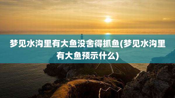 梦见水沟里有大鱼没舍得抓鱼(梦见水沟里有大鱼预示什么)
