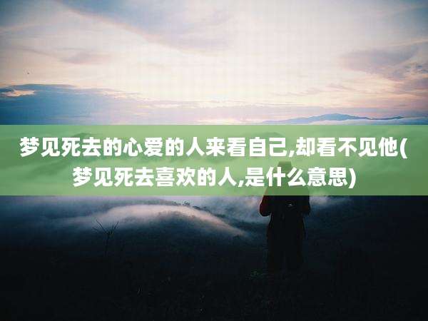 梦见死去的心爱的人来看自己,却看不见他(梦见死去喜欢的人,是什么意思)