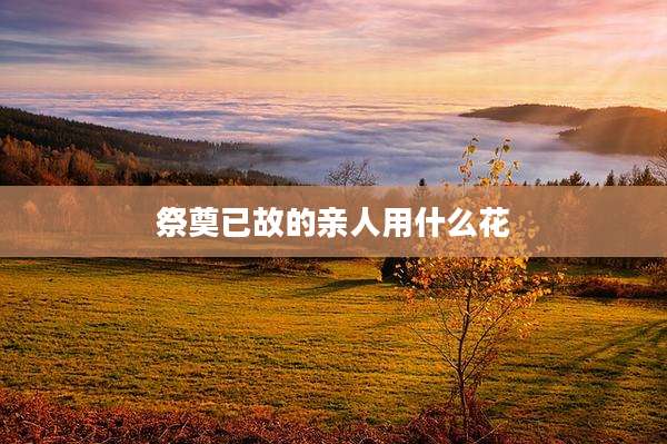 祭奠已故的亲人用什么花