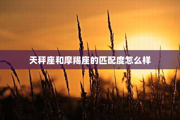 天秤座和摩羯座的匹配度怎么样
