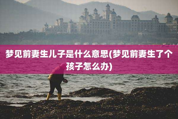 梦见前妻生儿子是什么意思(梦见前妻生了个孩子怎么办)